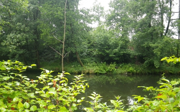 Site avant travaux