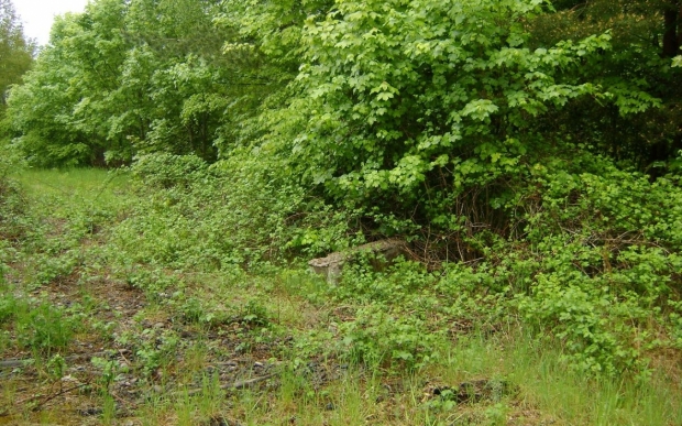 Site avant construction